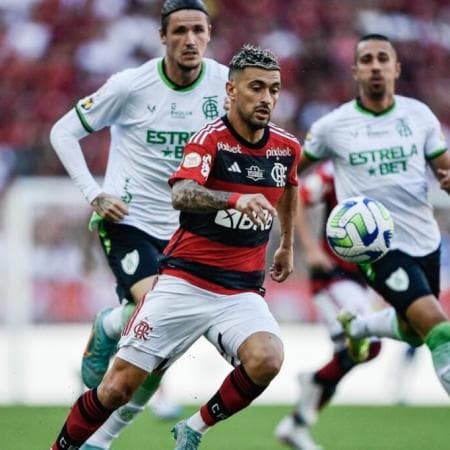 Palpite América-MG x Flamengo 26/11 – Brasileirão Série A | Prognóstico de Aposta