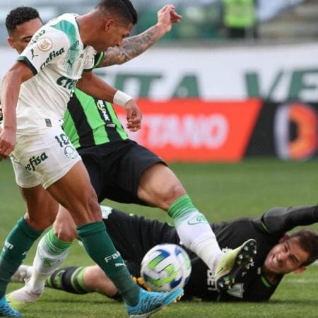 Palpite Palmeiras x América MG 29/11 – Brasileirão Série A | Prognóstico de Aposta