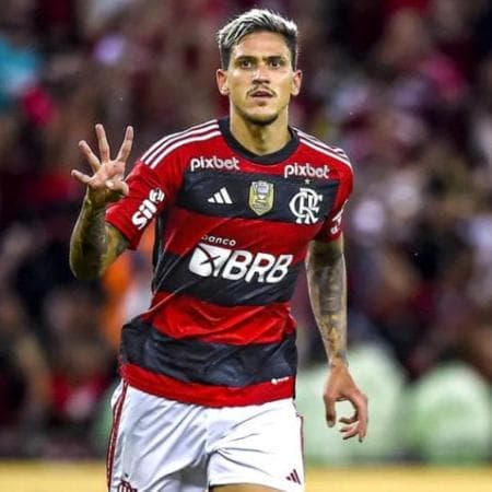 Palpite Sampaio Correa x Flamengo 31/01 – Campeonato Carioca | Prognóstico de Aposta